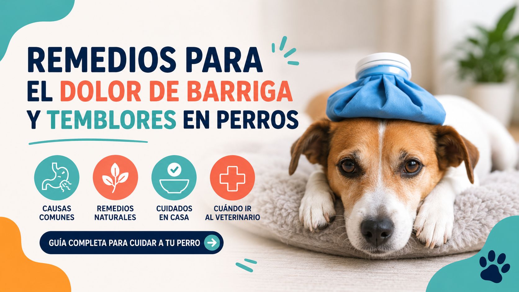 Remedios para el dolor de barriga y temblores en perros