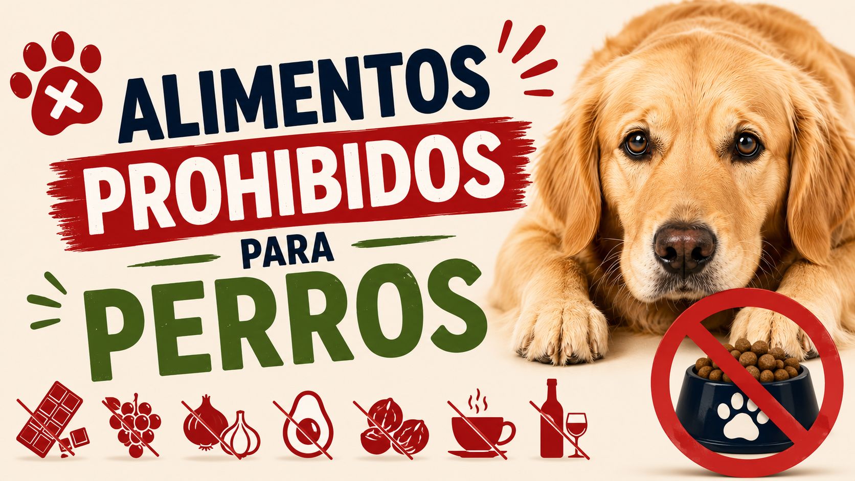 Alimentos prohibidos para perros
