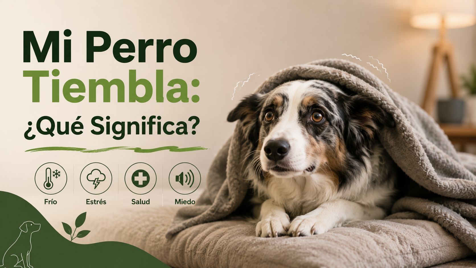 Mi Perro Tiembla: ¿Qué Significa?