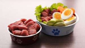 Recetas Caseras de Comida para Perros: Nutrición y Sabor Recetas Caseras de Comida para Perros: Nutrición y Sabor