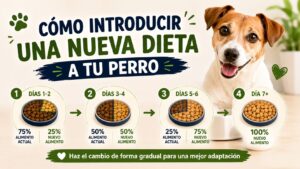 Cómo Introducir una Nueva Dieta a tu Perro