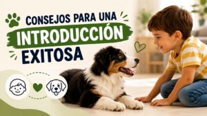 Consejos para una Introducción Exitosa entre Perros y Niños