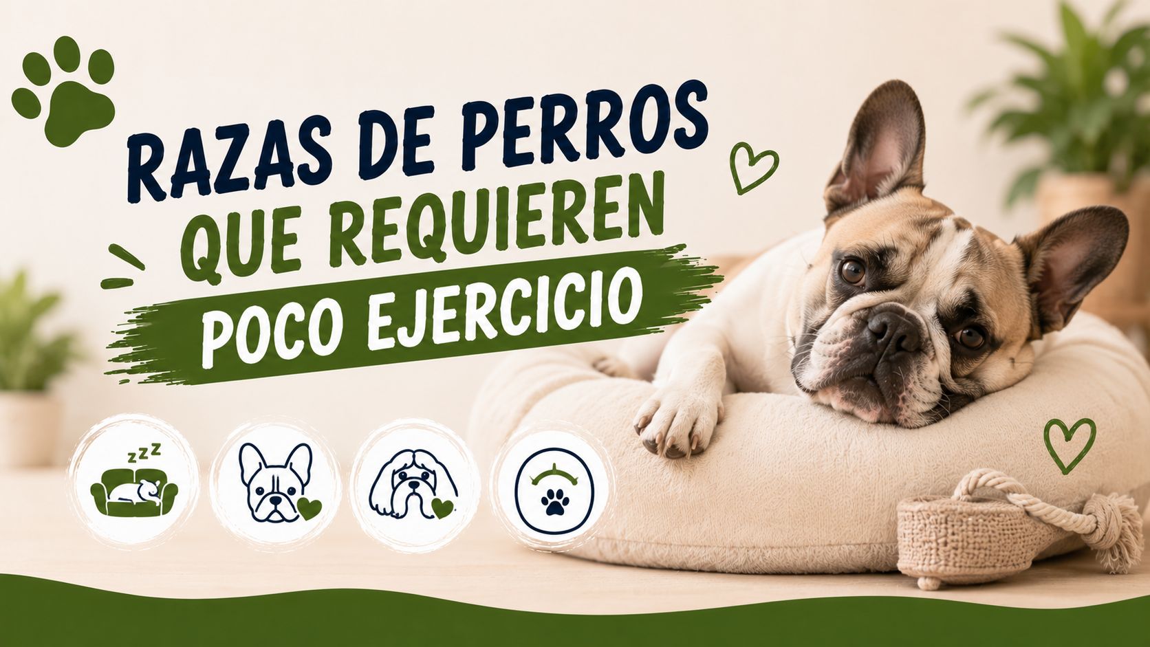 Razas de Perros que Requieren Poco Ejercicio