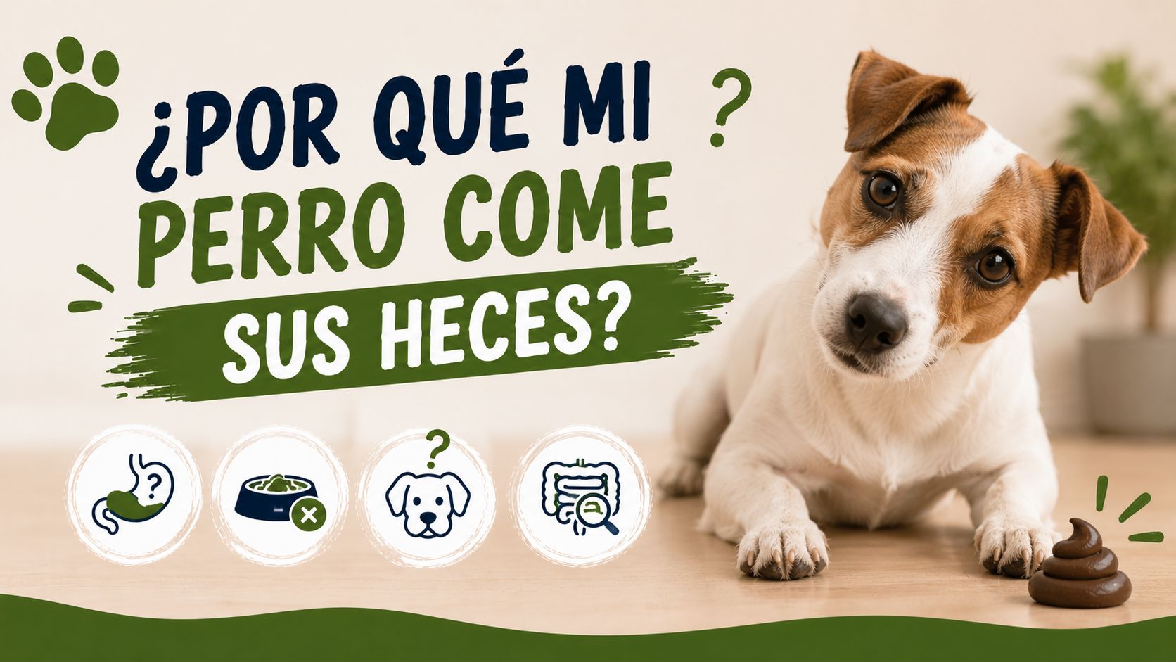 ¿Por Qué mi Perro Come sus Heces?