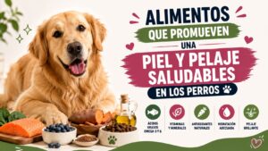 Alimentos que Promueven una Piel y Pelaje Saludables en los Perros Alimentos que Promueven una Piel y Pelaje Saludables en los Perros