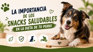 La Importancia de los Snacks Saludables en la Dieta de tu Perro ¿Cómo Saber si mi Perro está Enfermo?