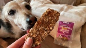 La Importancia de los Snacks Saludables en la Dieta de tu Perro La Importancia de los Snacks Saludables en la Dieta de tu Perro