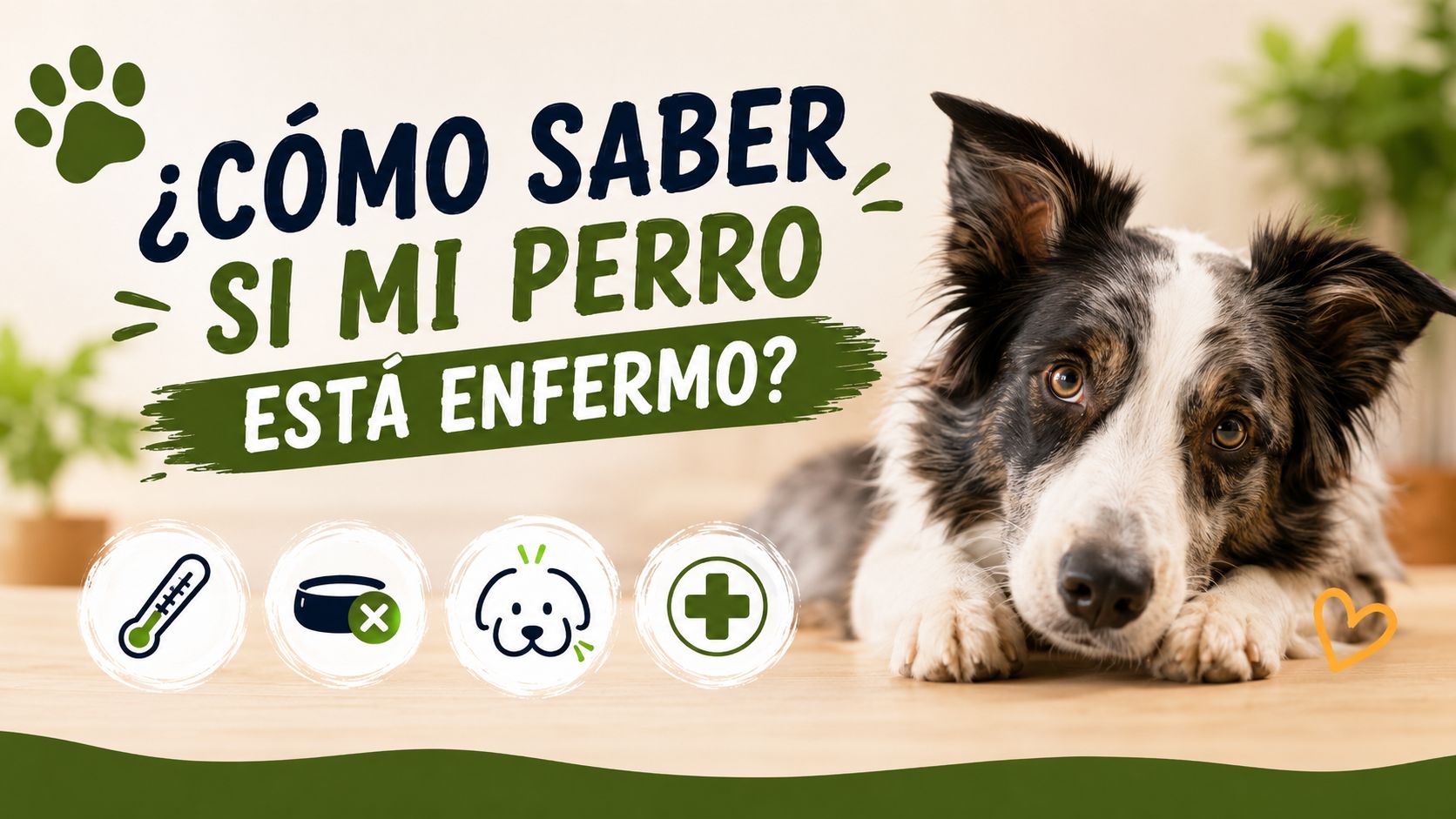 ¿Cómo Saber si mi Perro está Enfermo?