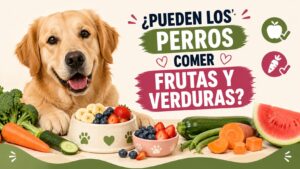 ¿Pueden los Perros Comer Frutas y Verduras?