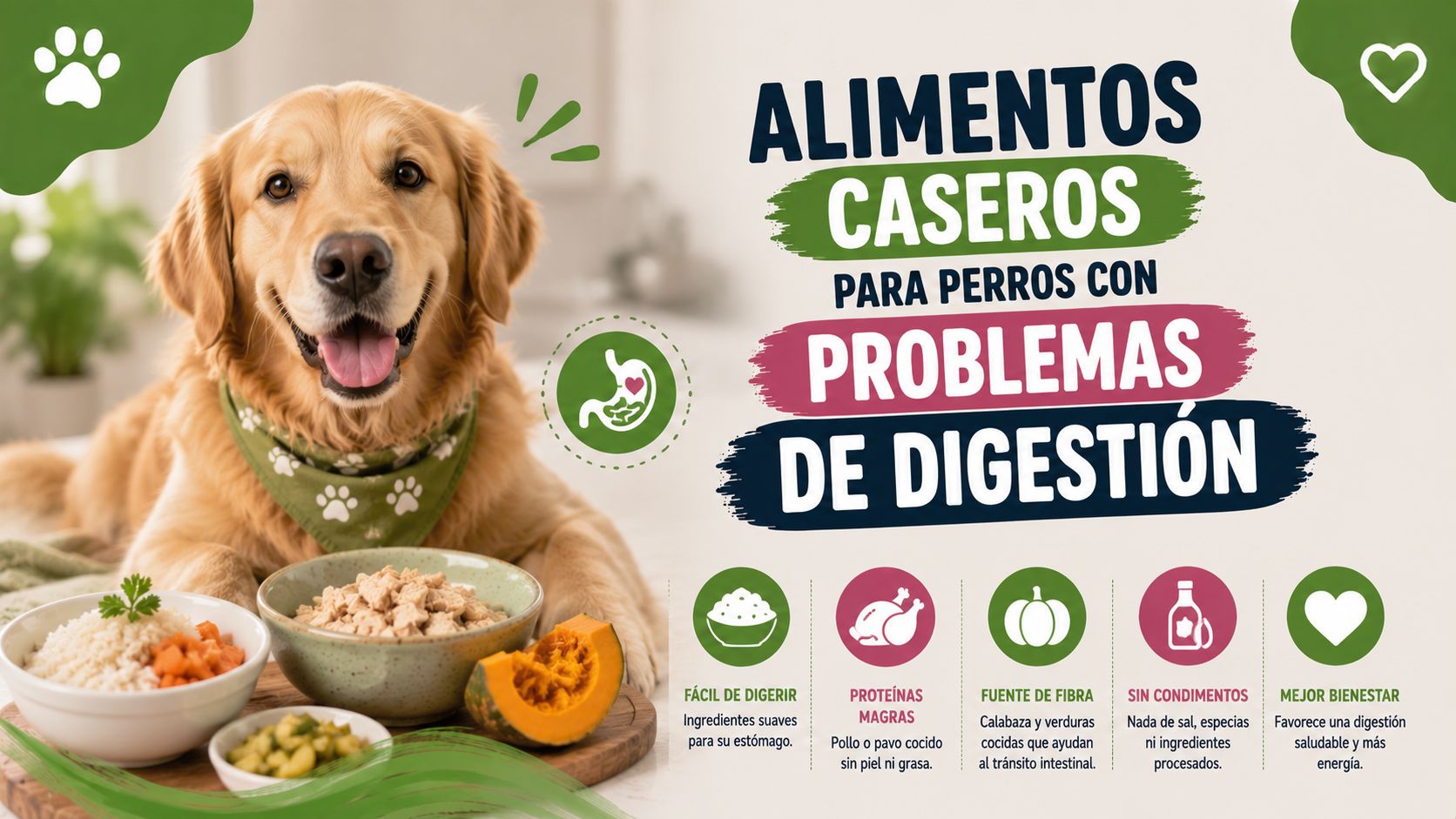 Alimentos Caseros para Perros con Problemas de Digestión