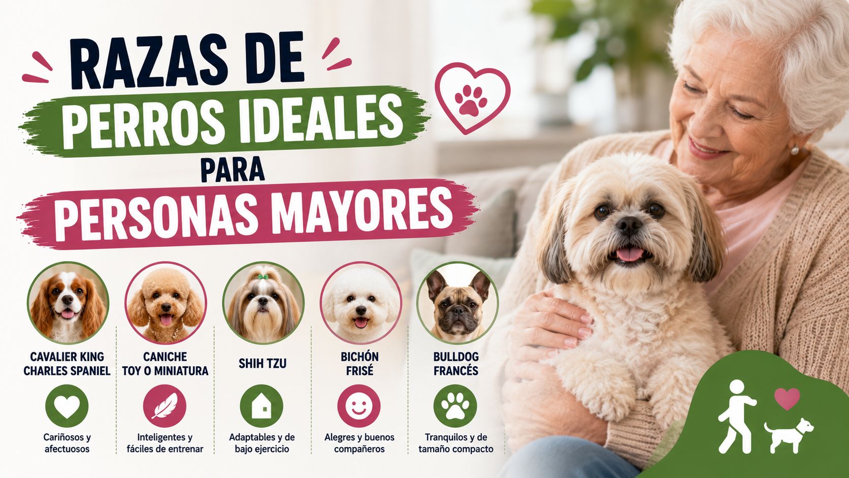 Razas de Perros Ideales para Personas Mayores