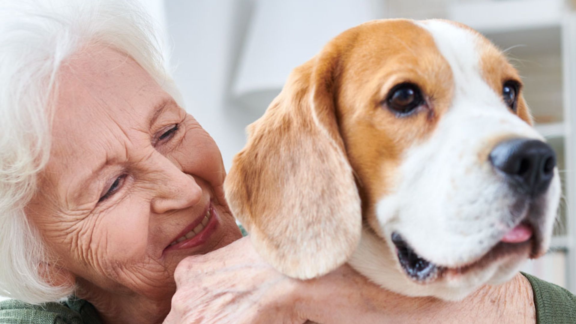 Razas de Perros Ideales para Personas Mayores