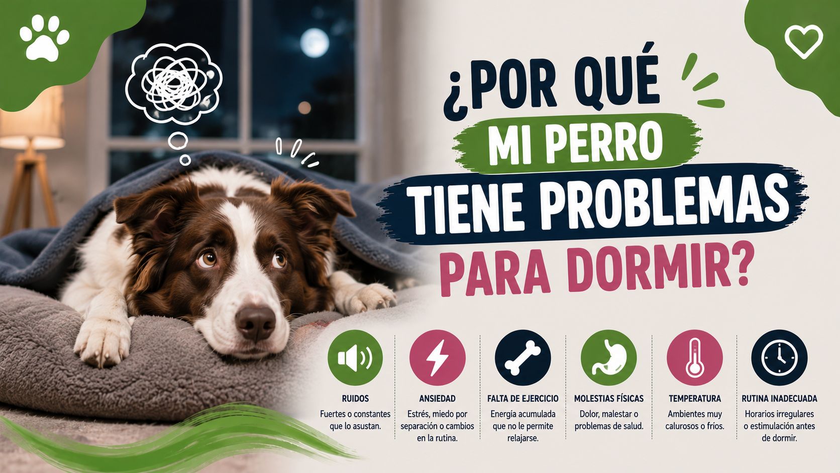 ¿Por Qué mi Perro Tiene Problemas para Dormir?