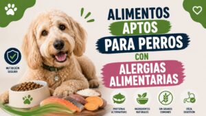 Alimentos Aptos para Perros con Alergias Alimentarias Alimentos Aptos para Perros con Alergias Alimentarias