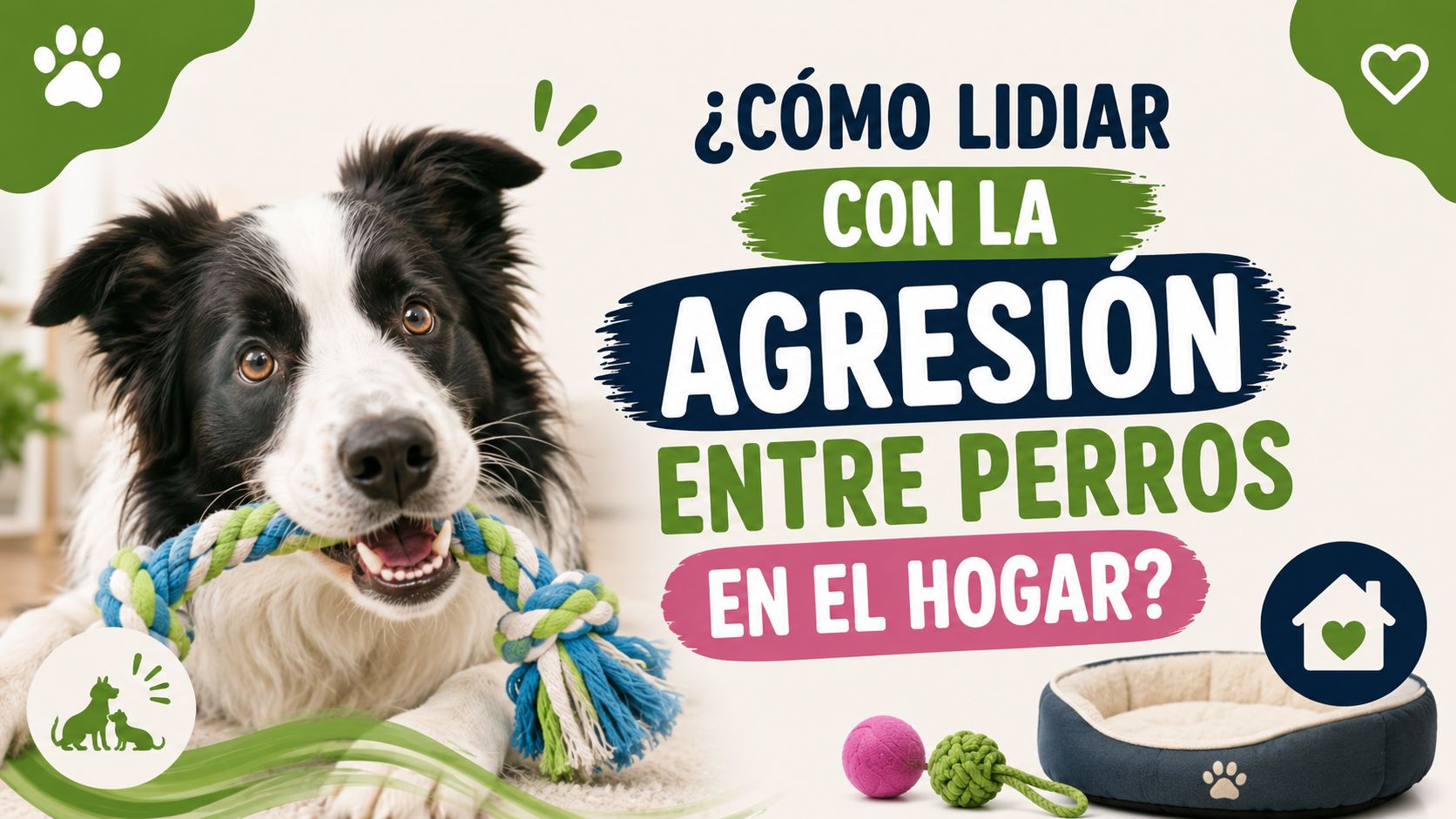 ¿Cómo Lidiar con la Agresión entre Perros en el Hogar?