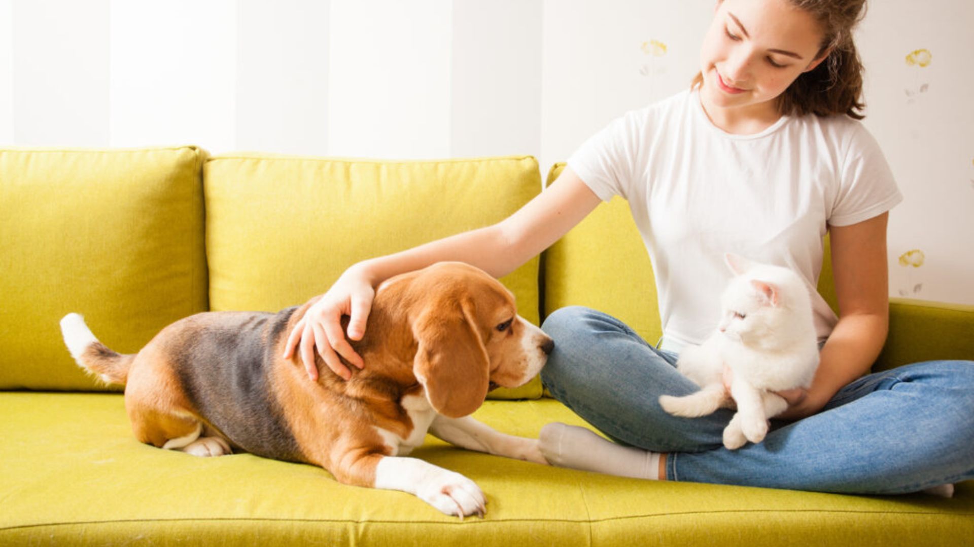 Consejos para una Convivencia Armoniosa