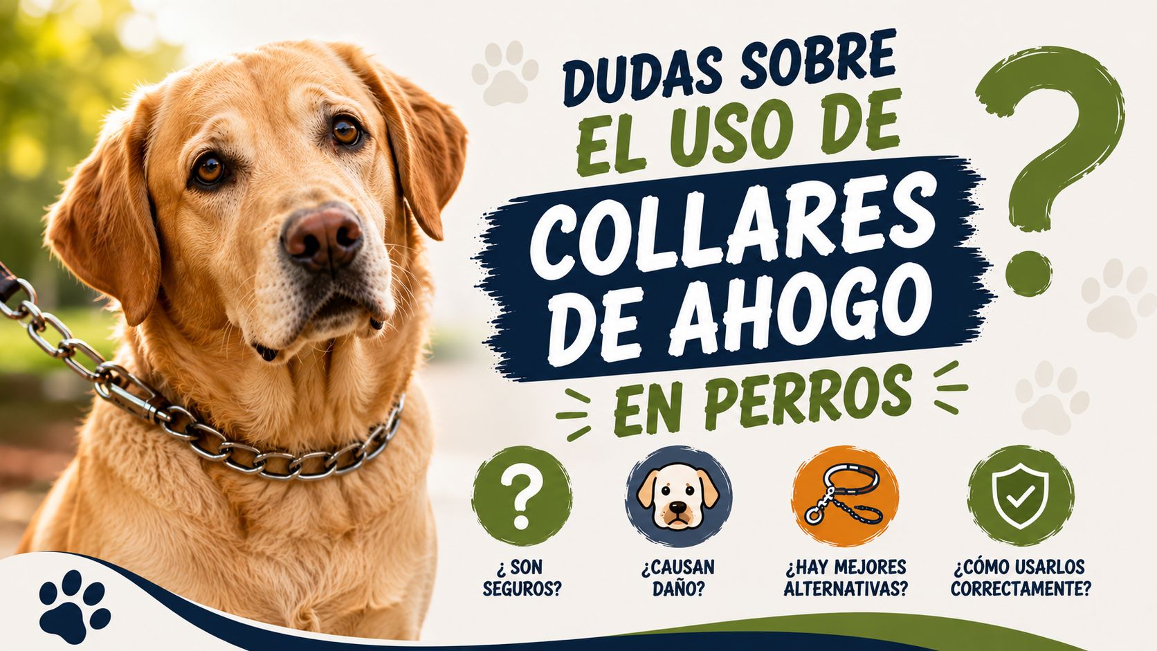 Dudas sobre el Uso de Collares de Ahogo en Perros