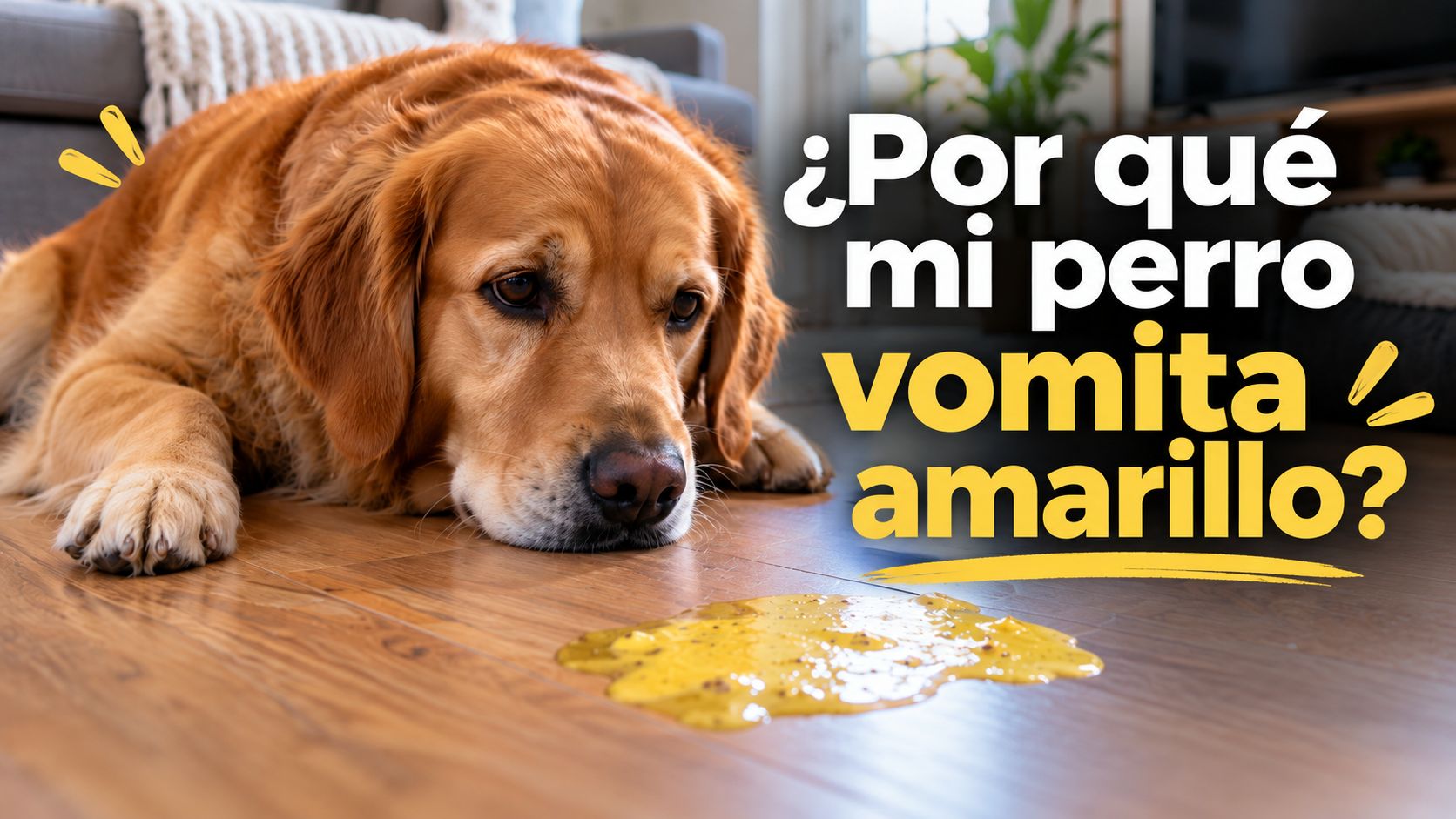 ¿Por qué mi perro vomita amarillo?