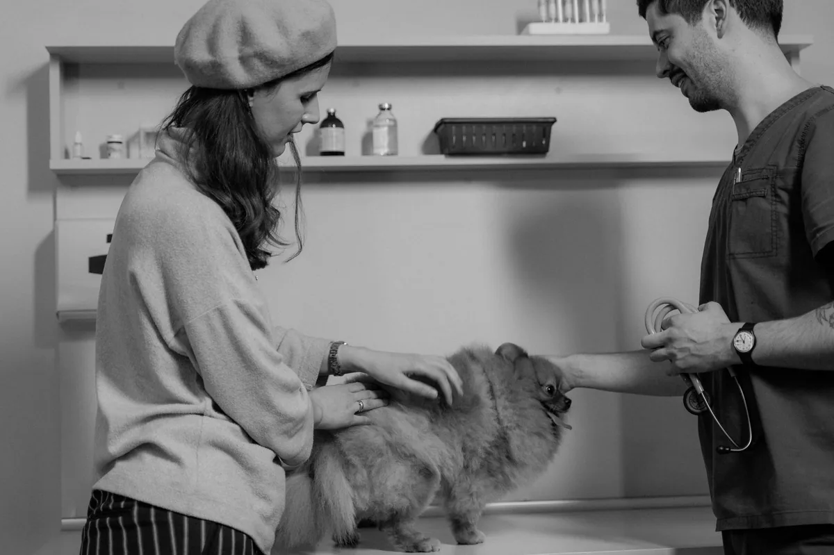 Perro en consulta veterinaria por diarrea