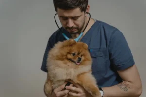 Cachorro en revisión de desparasitación